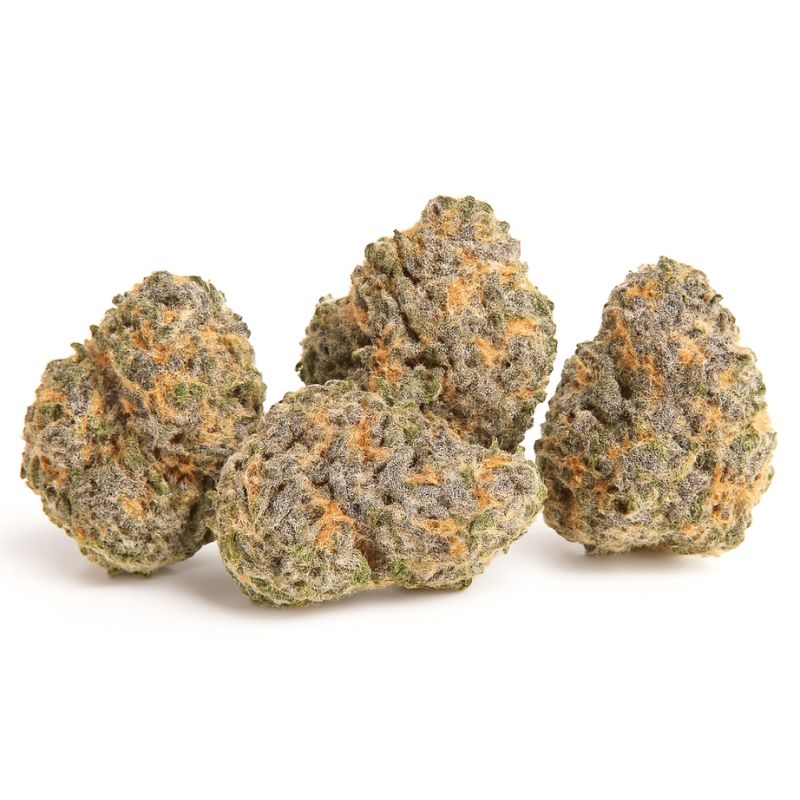 Banana Jelly Smalls - AAAA